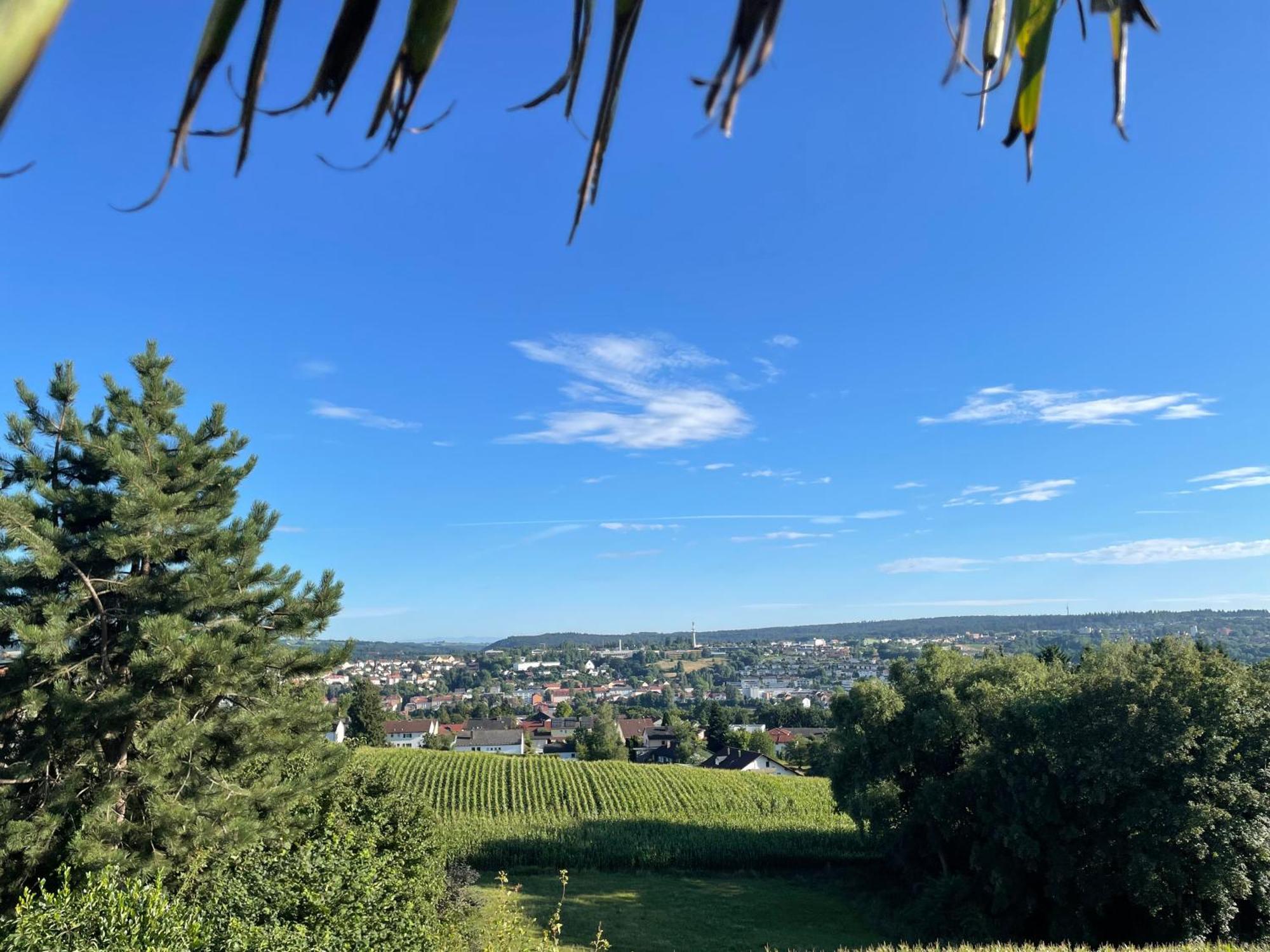 Tiny-House Mit Alpen- Stadt- Und Poolblick , Wlan パッサウ エクステリア 写真